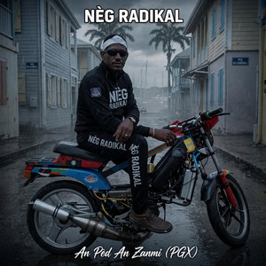 An Pèd An Zanmi by NèG RADIKAL