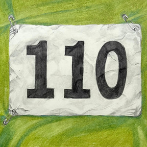 Nr. 110 by LY