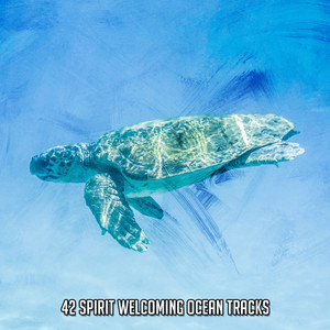 42 Spirit Welcoming Ocean Tracks album