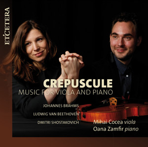 Sonata for Viola and Piano, Op. 147: III. Adagio