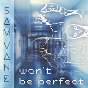 won't be perfect by Sam Vane
