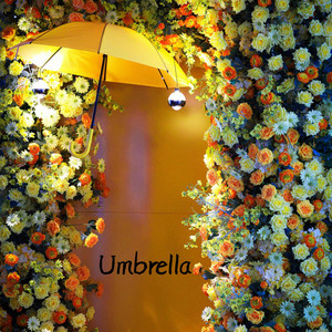 Umbrella by Ken Christy