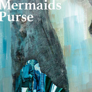 Mermaids Purse by John Henry