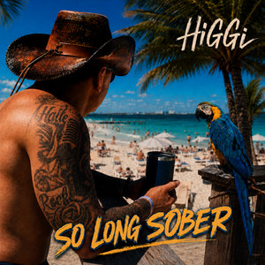 So Long Sober by Higgi