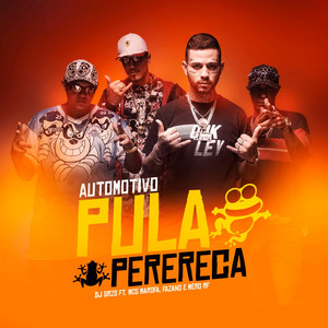 Mc Marofa, Mc Fazano, Mc Mero RF & DJ GRZS - Automotivo Pula Pula Perereca