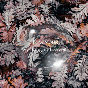 Walking in Leaves - Single Edit by Slowmode