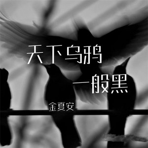 天下乌鸦一般黑 - Dj女版 by 金夏安, 小安