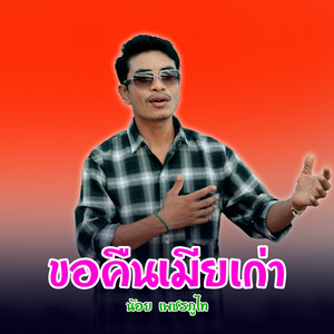 น้อย เพชรภูไท - ขอคืนเมียเก่า (ຂໍຄືນເມຍເກົ່າ)