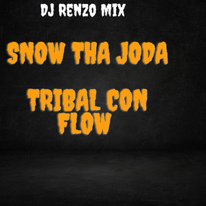 Dj Renzo Mix - El Tribal Con Flow