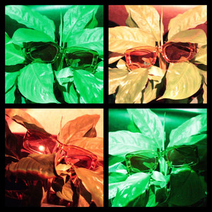 AspidistrA - дюти фри