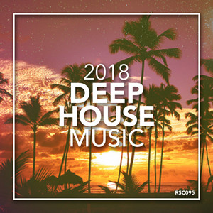 DEEP HOUSE. DISKO. HOUSE. 他レコード50枚まとめ売り②
