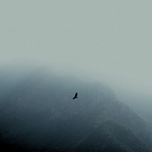 Weightless