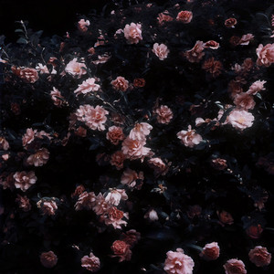 恋花余白 ～ What Remains(Instrumental) by 春野杉卉
