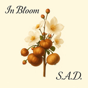 While it's raining anywhere by In Bloom