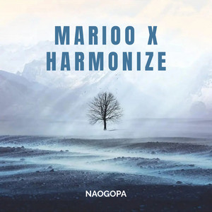 NAOGOPA