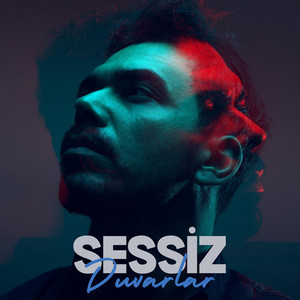 Hakan Aras _ Sessiz duvarlar