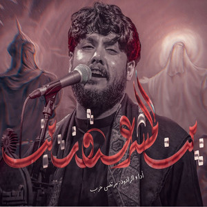 مرتضى حرب - بين المشرعة وزينب