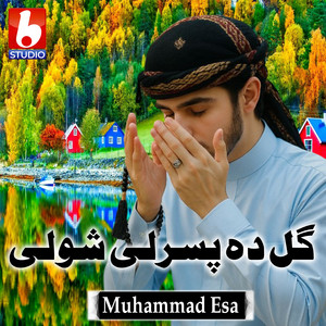 Muhammad Esa - گل دہ پسرلی شولی