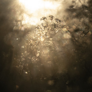 Reimagine Your Existence