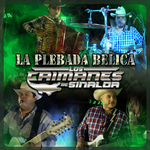 El Sube y Baja by Los Caimanes De Sinaloa