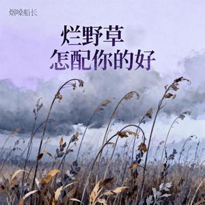 烂野草怎配你的好(DJ阿能版) by 黄友哲