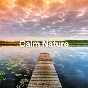 Calm Nature album