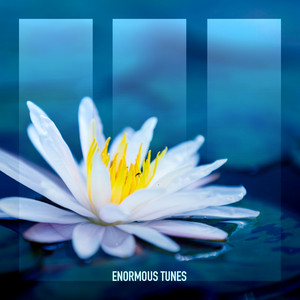 White Lotus by Daniel Portman