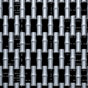 Eric Shawn West - Bamboo Code