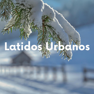 Latidos Urbanos by Prophet of the Melody