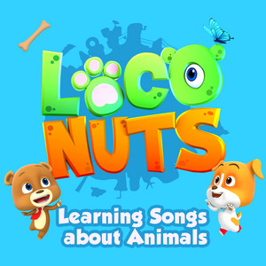Five Little Ducks by Loco Nuts