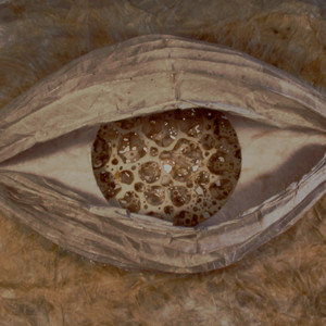 Portada de AYÚ