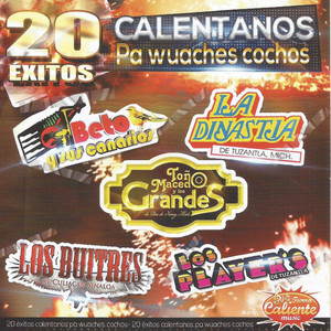 tierra caliente music poster