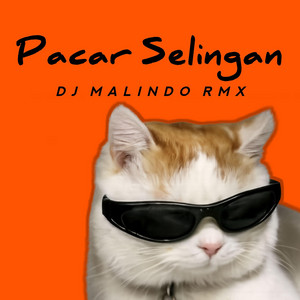 Pacar Selingan by Dj Malindo Rmx