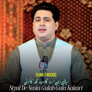 Shah Farooq - Siyal De Nasta Gulab Gula Kakari