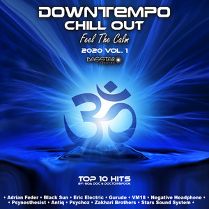 Downtempo Chill Out Feel The Calm: 2020 Top 10 Hits, Vol. 1 album