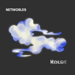 Moonlight (Radio Edit) by Networles
