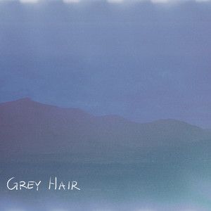 Portada de Grey Hair