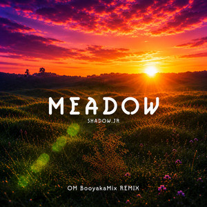 Meadow - OM BooyakaMix Remix by Shadow.JR, OM BooyakaMix