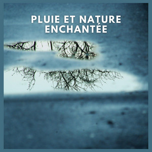 Pluie et Nature Enchantée