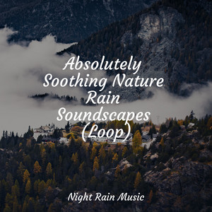 Absolutely Soothing Nature Rain Soundscapes (Loop) album
