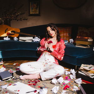 Stupid Cupid by Jenna Raine