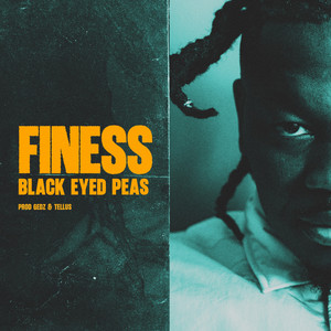 B.E.P (Black Eyed Peas) - Radio Edit by Finess