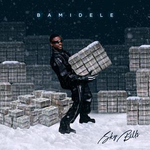 Bamidele by Sky Bills