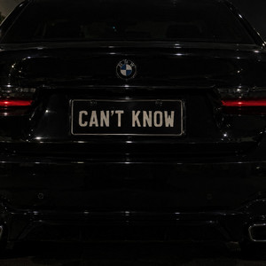 Can't Know by Cousin