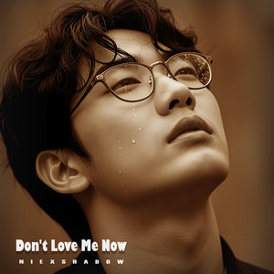 Don't Love Me Now by NiExshadow, Walk Alone, QiQueen