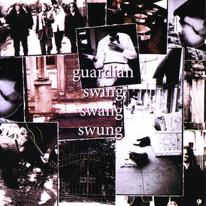 Swing Swang Swung cover