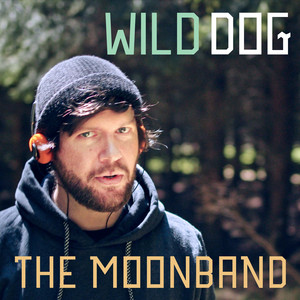 Wild Dog