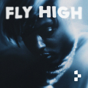 FLY HIGH by trabbey