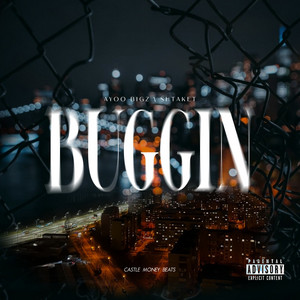 Shtaket — BUGGIN