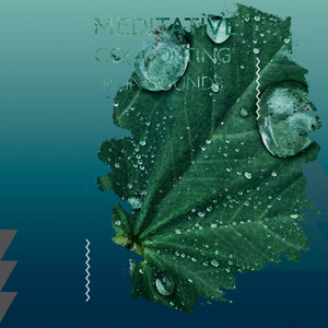zZz Meditative Comforting Rain Sounds zZz album